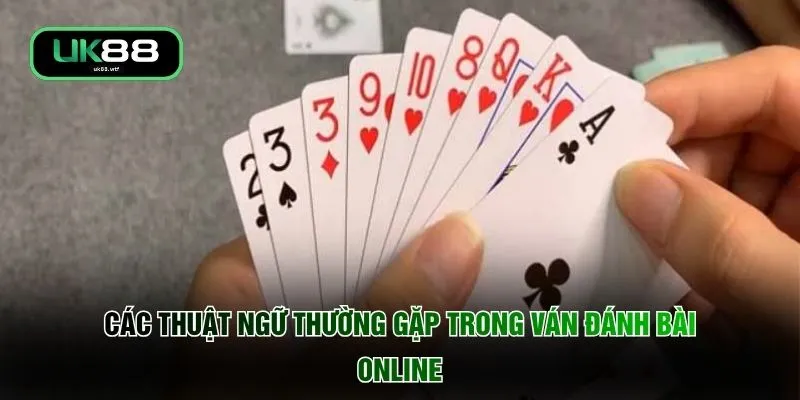 Phỏm - Trọn Bộ Hướng Dẫn Chơi Cho Các Tân Thủ Năm 2026 3 Các thuật ngữ thường gặp trong ván đánh bài online
